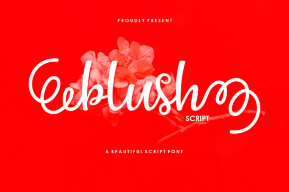 Blush Script: A Creative Font for Makers