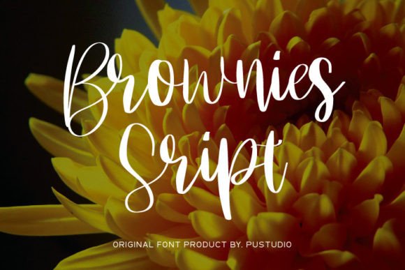 Brownies Script Font for Web Design