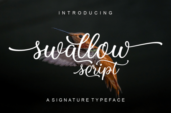 Swallow Script Review: A Designer’s Take
